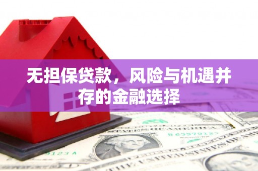 大溪无担保贷款，风险与机遇并存的金融选择