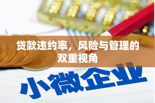 大溪贷款违约率，风险与管理的双重视角