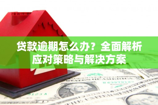 大溪贷款逾期怎么办？全面解析应对策略与解决方案