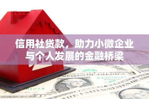 大溪信用社贷款，助力小微企业与个人发展的金融桥梁