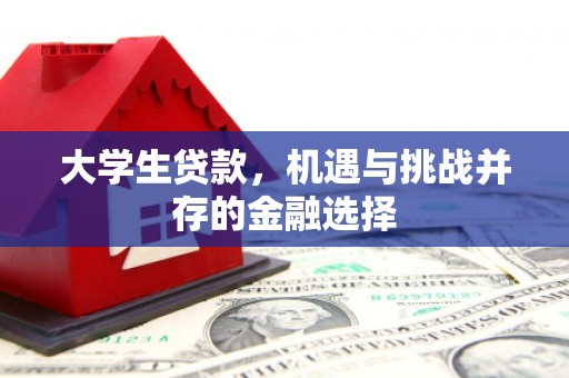 大溪大学生贷款，机遇与挑战并存的金融选择