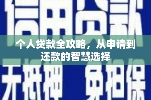 大溪个人贷款全攻略，从申请到还款的智慧选择