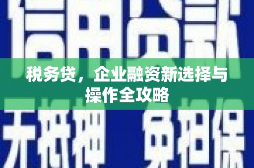 大溪税务贷，企业融资新选择与操作全攻略
