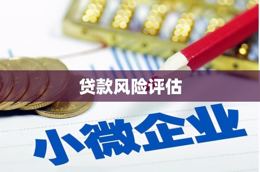 大溪贷款风险评估