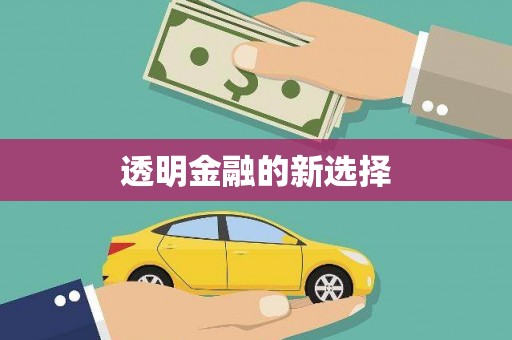 大溪透明金融的新选择
