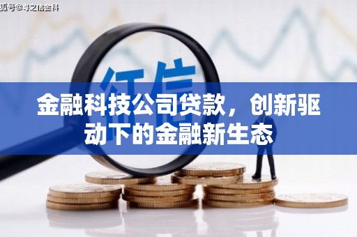 大溪金融科技公司贷款，创新驱动下的金融新生态