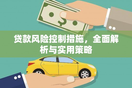 大溪贷款风险控制措施，全面解析与实用策略