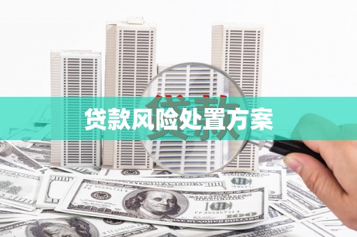 大溪贷款风险处置方案