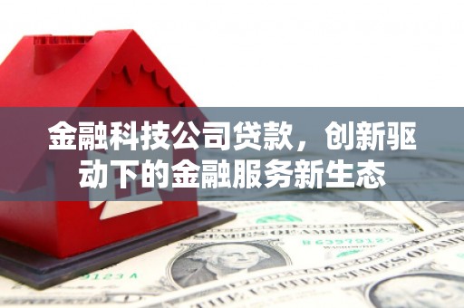 大溪金融科技公司贷款，创新驱动下的金融服务新生态