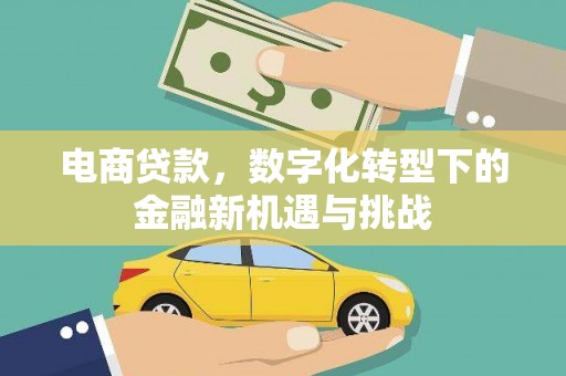 大溪电商贷款，数字化转型下的金融新机遇与挑战