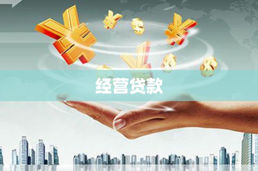 大溪经营贷款