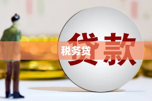 大溪税务贷