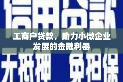 大溪工商户贷款，助力小微企业发展的金融利器