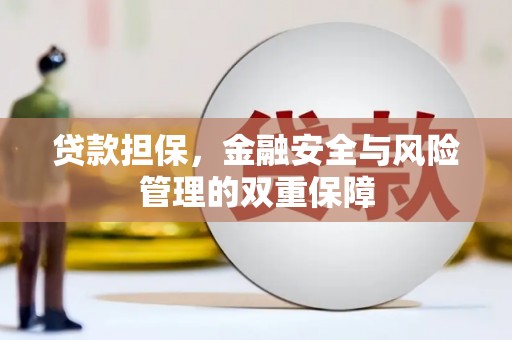 大溪贷款担保，金融安全与风险管理的双重保障