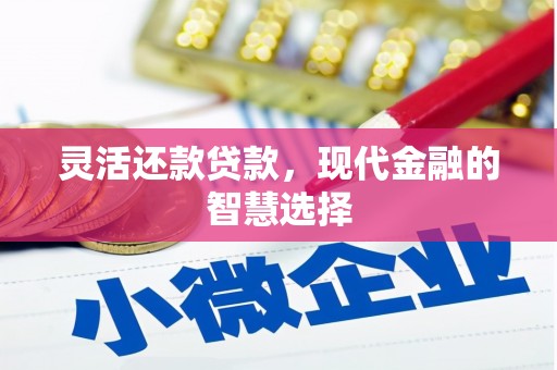 大溪灵活还款贷款，现代金融的智慧选择