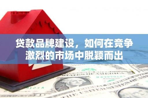 大溪贷款品牌建设，如何在竞争激烈的市场中脱颖而出