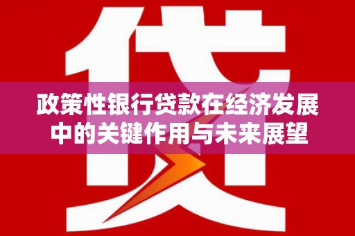 大溪政策性银行贷款在经济发展中的关键作用与未来展望
