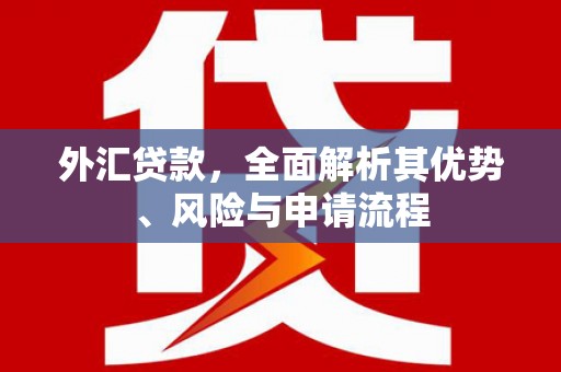 大溪外汇贷款，全面解析其优势、风险与申请流程