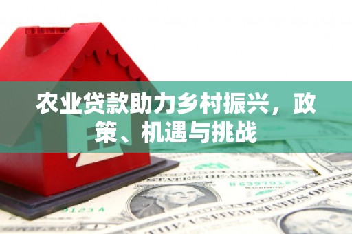 大溪农业贷款助力乡村振兴，政策、机遇与挑战