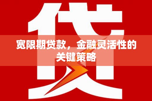 大溪宽限期贷款，金融灵活性的关键策略