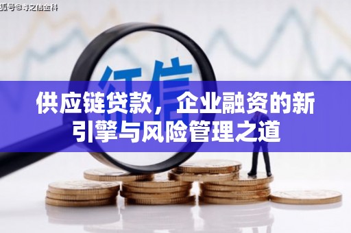 大溪供应链贷款，企业融资的新引擎与风险管理之道