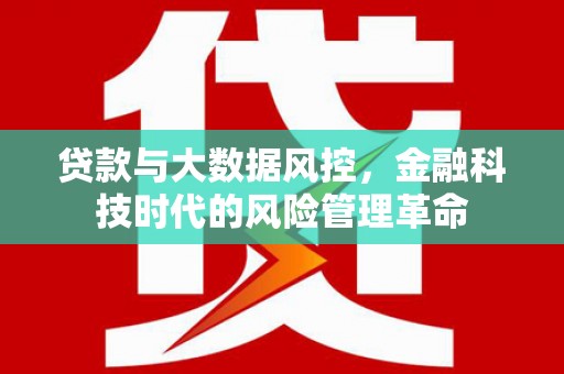 大溪贷款与大数据风控，金融科技时代的风险管理革命