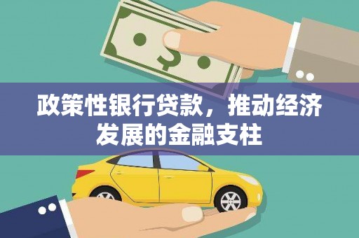 大溪政策性银行贷款，推动经济发展的金融支柱