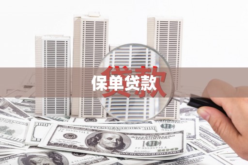 大溪保单贷款