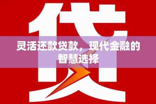 大溪灵活还款贷款，现代金融的智慧选择