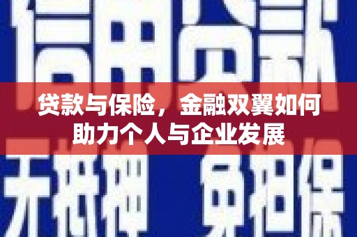 大溪贷款与保险，金融双翼如何助力个人与企业发展