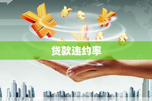 大溪贷款违约率