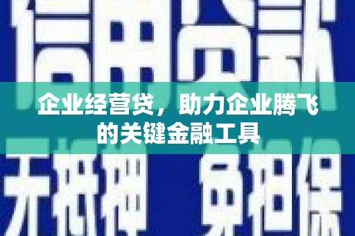 大溪企业经营贷，助力企业腾飞的关键金融工具