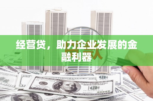 大溪经营贷，助力企业发展的金融利器