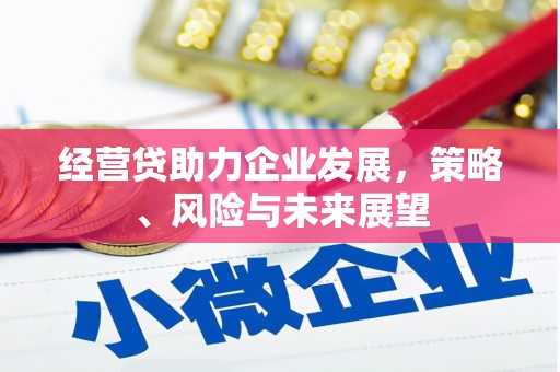 大溪经营贷助力企业发展，策略、风险与未来展望