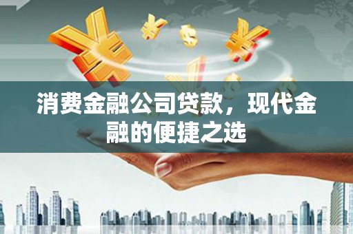 大溪消费金融公司贷款，现代金融的便捷之选