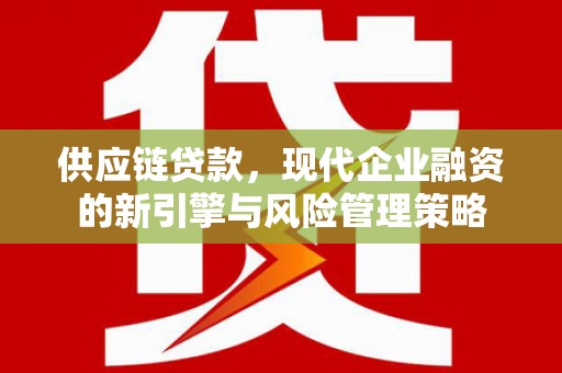 大溪供应链贷款，现代企业融资的新引擎与风险管理策略