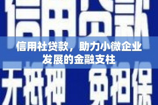 大溪信用社贷款，助力小微企业发展的金融支柱