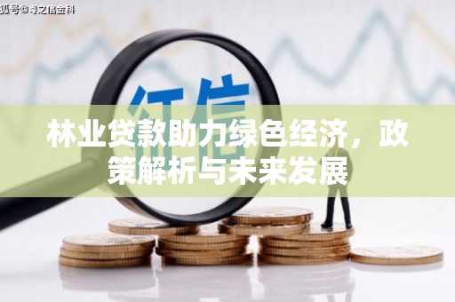 大溪林业贷款助力绿色经济，政策解析与未来发展