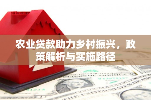 大溪农业贷款助力乡村振兴，政策解析与实施路径