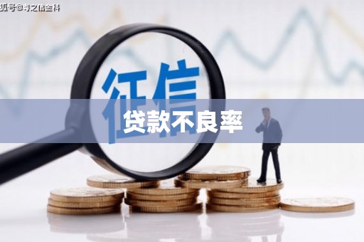 大溪贷款不良率