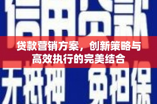 大溪贷款营销方案，创新策略与高效执行的完美结合