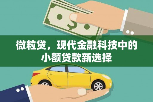 大溪微粒贷，现代金融科技中的小额贷款新选择