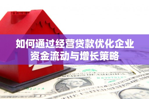 大溪如何通过经营贷款优化企业资金流动与增长策略