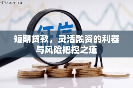 大溪短期贷款，灵活融资的利器与风险把控之道