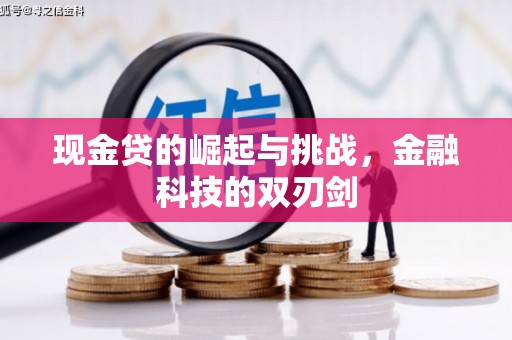大溪现金贷的崛起与挑战，金融科技的双刃剑