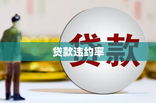 大溪贷款违约率