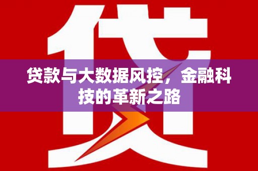 大溪贷款与大数据风控，金融科技的革新之路