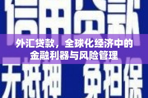 大溪外汇贷款，全球化经济中的金融利器与风险管理