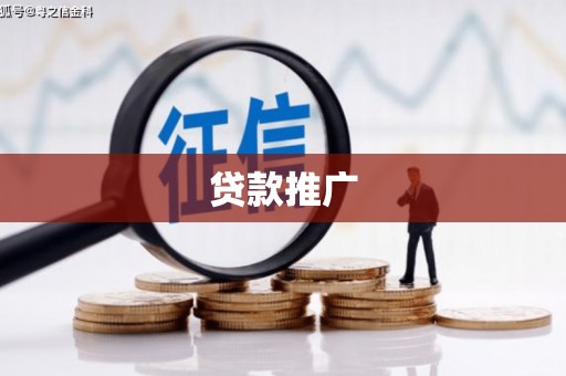 大溪贷款推广
