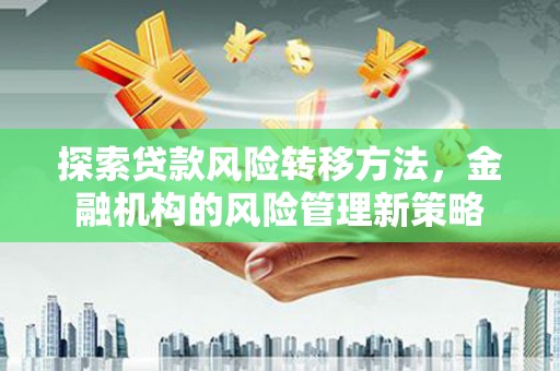 大溪探索贷款风险转移方法，金融机构的风险管理新策略